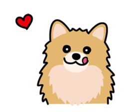 Cute! Pomeranian Stickers sticker #10647696