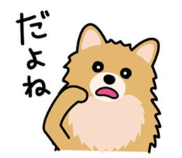 Cute! Pomeranian Stickers sticker #10647717