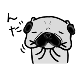 miyagiken pug sticker #10650920