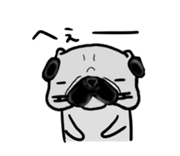 miyagiken pug sticker #10650938