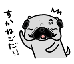 miyagiken pug sticker #10650946