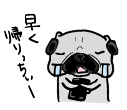 miyagiken pug sticker #10650947