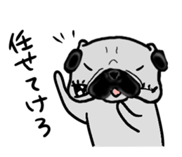 miyagiken pug sticker #10650948