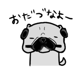 miyagiken pug sticker #10650950