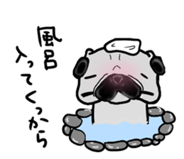 miyagiken pug sticker #10650954