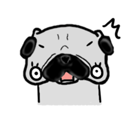 miyagiken pug sticker #10650958