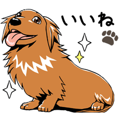 Young man of the dog