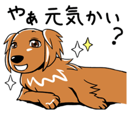 Young man of the dog sticker #10651201