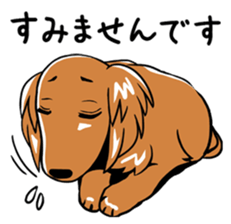 Young man of the dog sticker #10651233