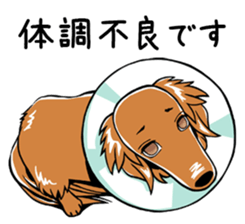 Young man of the dog sticker #10651236