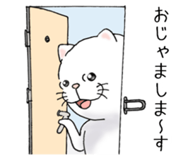 cat'sman for private actions 4 sticker #10651682