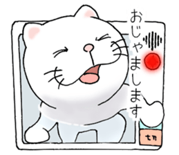 cat'sman for private actions 4 sticker #10651687