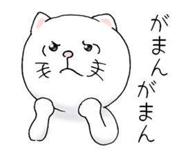 cat'sman for private actions 4 sticker #10651705