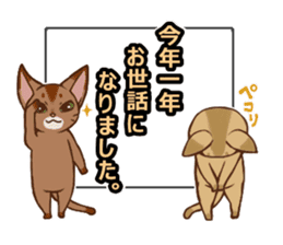 CAT-Abyssinian2 sticker #10653441