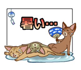 CAT-Abyssinian2 sticker #10653450