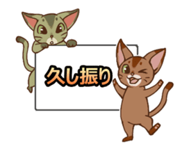 CAT-Abyssinian2 sticker #10653453