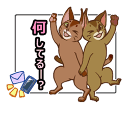 CAT-Abyssinian2 sticker #10653454