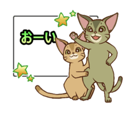 CAT-Abyssinian2 sticker #10653457