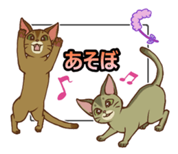 CAT-Abyssinian2 sticker #10653458
