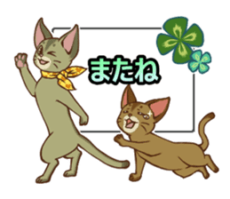 CAT-Abyssinian2 sticker #10653459