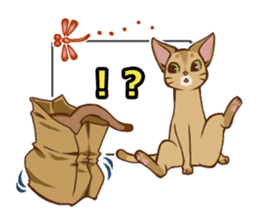 CAT-Abyssinian2 sticker #10653461