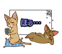 CAT-Abyssinian2 sticker #10653463