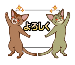 CAT-Abyssinian2 sticker #10653464