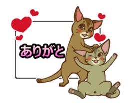 CAT-Abyssinian2 sticker #10653465
