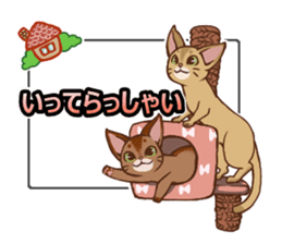 CAT-Abyssinian2 sticker #10653466