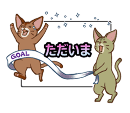 CAT-Abyssinian2 sticker #10653468