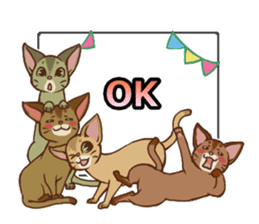 CAT-Abyssinian2 sticker #10653470