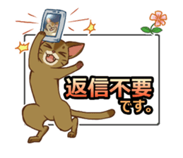 CAT-Abyssinian2 sticker #10653473