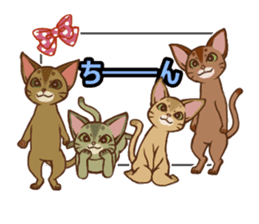 CAT-Abyssinian2 sticker #10653474