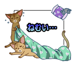 CAT-Abyssinian2 sticker #10653475