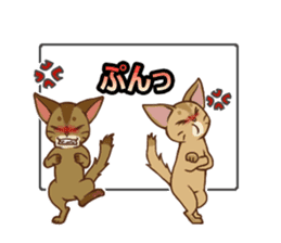 CAT-Abyssinian2 sticker #10653476