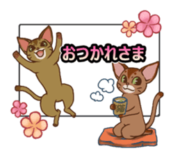 CAT-Abyssinian2 sticker #10653477