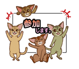 CAT-Abyssinian2 sticker #10653478