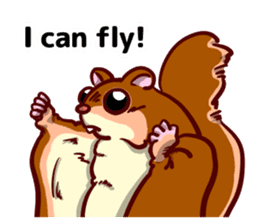 A flying squirrel flies! sticker #10654766