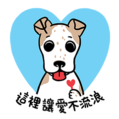 LanLan don't cry - healing your life