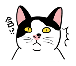 LanLan don't cry - healing your life sticker #10655640