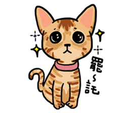 LanLan don't cry - healing your life sticker #10655643