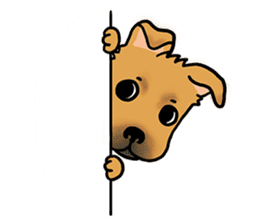 LanLan don't cry - healing your life sticker #10655644