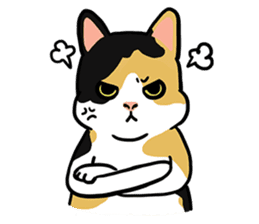 LanLan don't cry - healing your life sticker #10655646