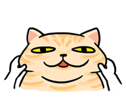 LanLan don't cry - healing your life sticker #10655651