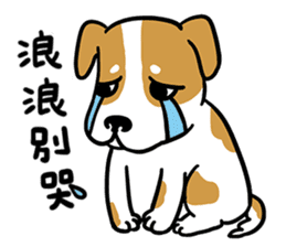 LanLan don't cry - healing your life sticker #10655654