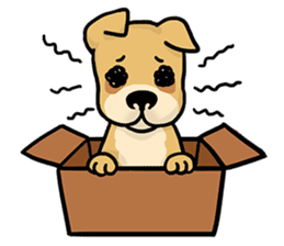 LanLan don't cry - healing your life sticker #10655664