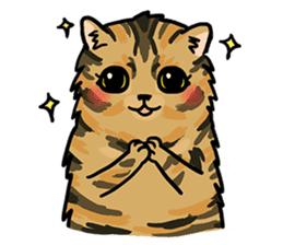 LanLan don't cry - healing your life sticker #10655667