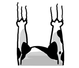 LanLan don't cry - healing your life sticker #10655668