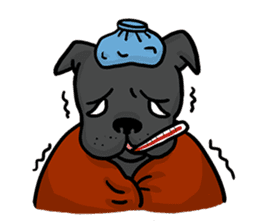 LanLan don't cry - healing your life sticker #10655671