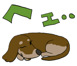 Cute dachshund Sticker sticker #10656009